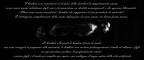 reification reification