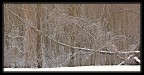 astrazione astrazione