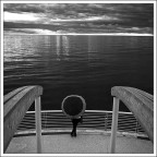 Rette, curve e cerchi.