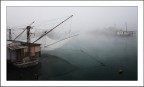 Tra nebbia e galaverna... Tra nebbia e galaverna...