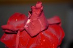 rosso passione rosso passione