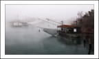 Pescando nebbia... Pescando nebbia...