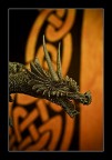 dragon dragon