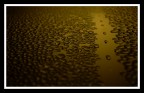 sulla strada sulla strada