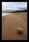 Ultimo approdo...