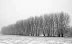 Lancone. Inverno 2006 Lancone. Inverno 2006