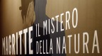 magritte magritte