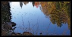riflessi d'autunno riflessi d'autunno