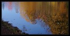 riflessi d'autunno riflessi d'autunno