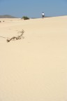 Camminando nel deserto Camminando nel deserto