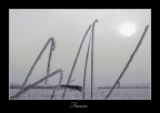 Frozen Frozen