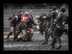 rugby 7 rugby 7