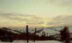 vigne innevate vigne innevate