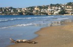 Spiaggia Spiaggia