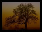 Atmosfera..... nebbia al mattino Atmosfera..... nebbia al mattino
