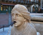 Particolare Fontana Contarini (Bergamo Piazza Vecchia Citt� Alta)