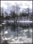 reflections reflections
