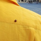 Coccinella a Berlino