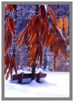 non finisce piu questo inverno.... non finisce piu questo inverno....
