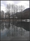 other reflections other reflections