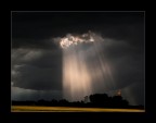 img 09 08 img 09 08
