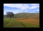 paesaggio marchigiano paesaggio marchigiano