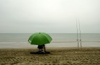 Speranza,pazienza e calma piatta. Speranza,pazienza e calma piatta.
