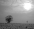 nebbia d'inverno nebbia d'inverno
