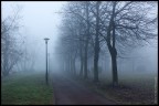 December Morning December Morning
