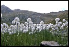 Montagna Montagna
