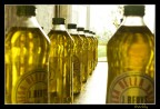 Oil Oil