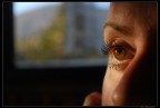 Eye Eye