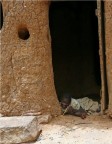 Pays Dogon, Mali Pays Dogon, Mali