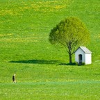 green green