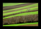 Paesaggio a strisce Paesaggio a strisce