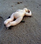 Suggerimenti e critiche sempre ben accetti