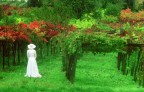Racconto autunnale Racconto autunnale