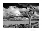 ...SOLITARIO... ...SOLITARIO...