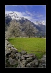 primavera 2008