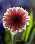 Luce e colori... Luce e colori...