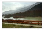La nebbia agli irti colli La nebbia agli irti colli