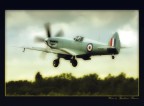 Spitfire Spitfire