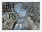 Paesaggio invernale Paesaggio invernale