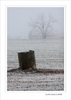 L'albero e il pozzo... L'albero e il pozzo...