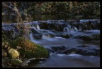 Scorcio di un torrente Scorcio di un torrente