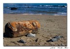 Il mare � onesto, ci rende quello che non � suo...