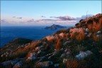 capri capri