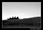 Paesaggio Paesaggio