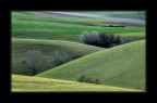 Dolci colline Dolci colline