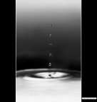 ::: BIANCO E NERO :::